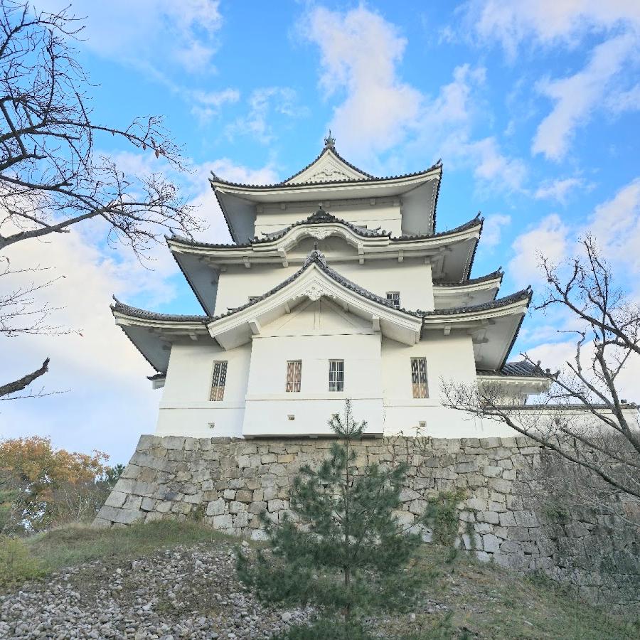 Iga Ueno Castle