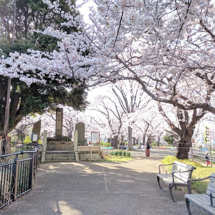 権現山城跡(神奈川区NO.71遺跡) Castle
