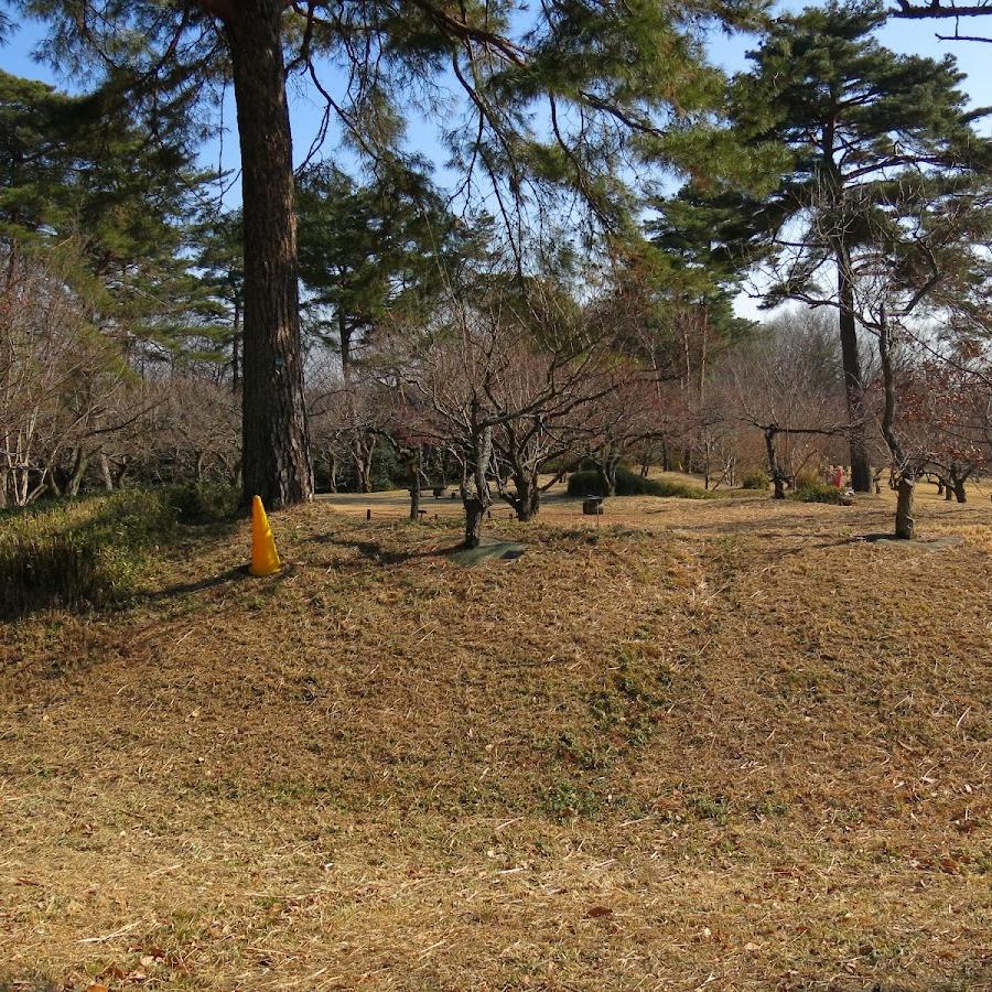 山崎城跡 Castle