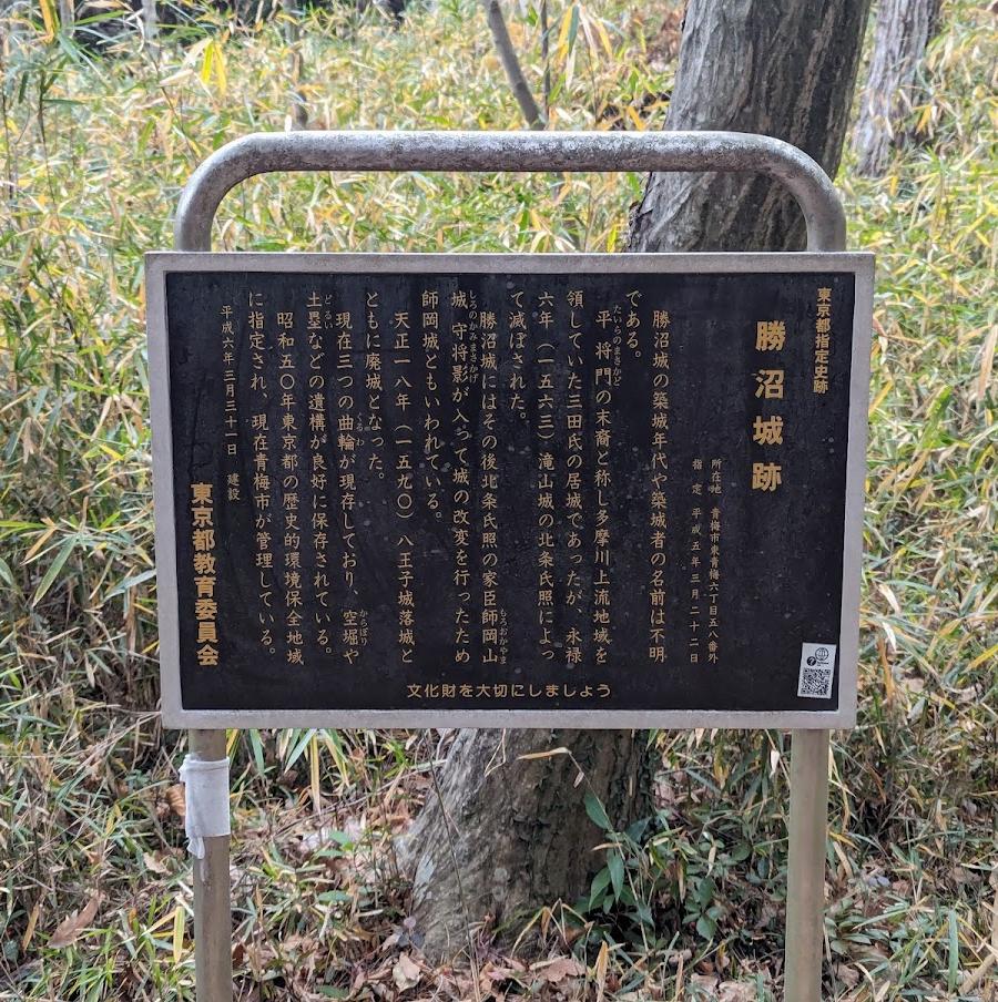 勝沼城跡 Castle