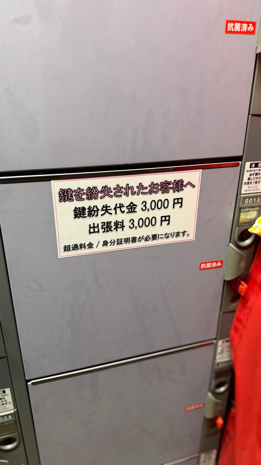 Niiza Station Lockers